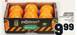 Metro PLAQUEMINES (KAKIS) VANILLE | VANILLA PERSIMMONS offer