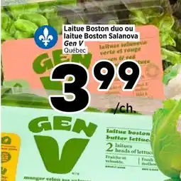 Val-Mont Laitue Boston duo ou Laitue Boston Salanova offer