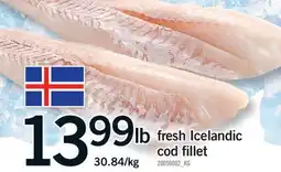 Fortinos FRESH ICELANDIC COD FILLET offer
