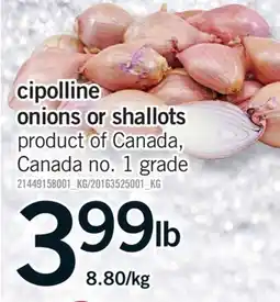 Fortinos CIPOLLINE ONIONS OR SHALLOTS offer