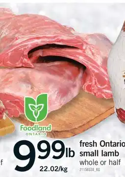 Fortinos FRESH ONTARIO SMALL LAMB offer