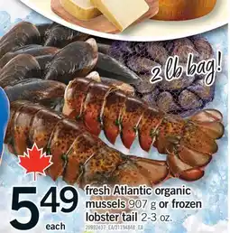 Fortinos FRESH ATLANTIC ORGANIC MUSSELS, 907 G OR FROZEN LOBSTER TAIL, 2-3 OZ offer