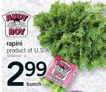 Fortinos RAPINI, bunch offer