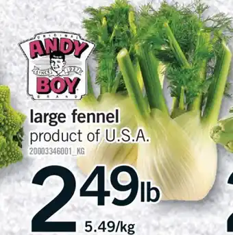 Fortinos LARGE FENNEL offer