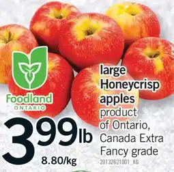 Fortinos LARGE HONEYCRISP APPLES offer
