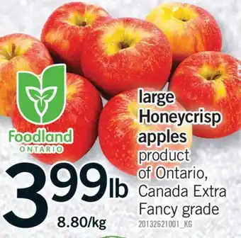 Fortinos LARGE HONEYCRISP APPLES offer