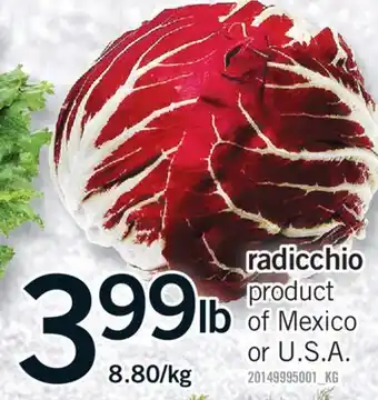 Fortinos RADICCHIO offer