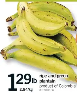 Fortinos RIPE AND GREEN PLANTAIN offer