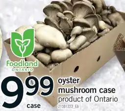 Fortinos OYSTER MUSHROOM CASE offer