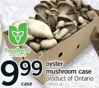 Fortinos OYSTER MUSHROOM CASE offer