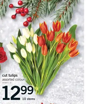 Fortinos CUT TULIPS, 10 STEMS offer