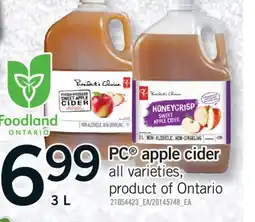 Fortinos PC APPLE CIDER, 3 L offer