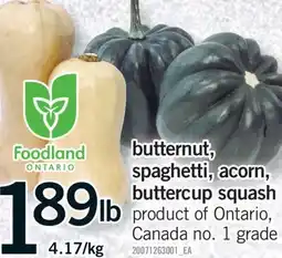 Fortinos BUTTERNUT, SPAGHETTI, ACORN, BUTTERCUP SQUASH offer