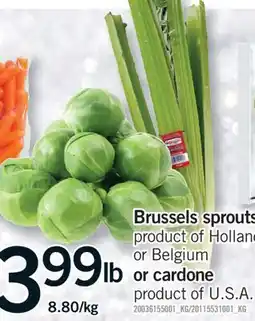 Fortinos BRUSSELS SPROUTS PRODUCT OF HOLLAND OR BELGIUM OR CARDONE PRODUCT OF U.S.A offer