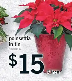 Fortinos 7 INCH POINSETTIA TIN offer
