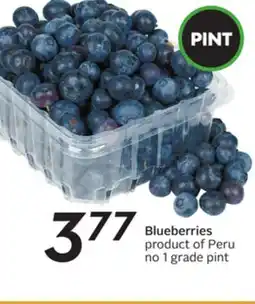 Sobeys Blueberries offer