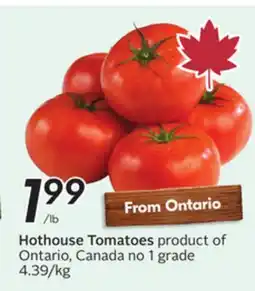 Sobeys Hothouse Tomatoes offer