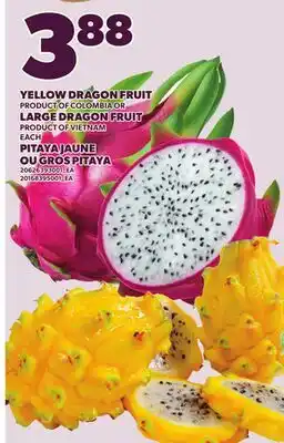 Independent Grocer YELLOW DRAGON FRUIT OR LARGE DRAGON FRUIT offer
