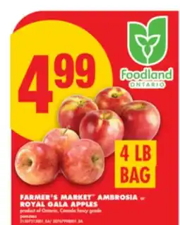 No Frills FARMER'S MARKET AMBROSIA or ROYAL GALA APPLES, 4 LB BAG offer