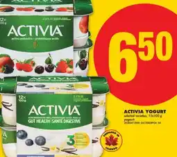 No Frills ACTIVIA YOGURT 12x100 g offer