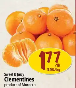 Farm Boy Sweet & Juicy Clementines offer
