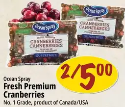 Farm Boy Ocean Spray Fresh Premium Cranberries offer