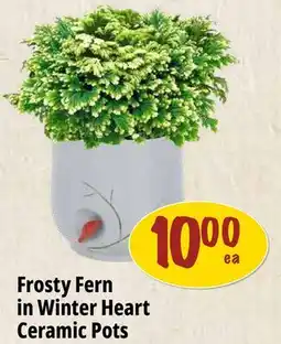 Farm Boy Frosty Fern in Winter Heart Ceramic Pots offer