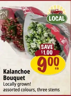 Farm Boy Kalanchoe Bouquet offer