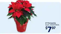 Walmart 6 Poinsettia offer