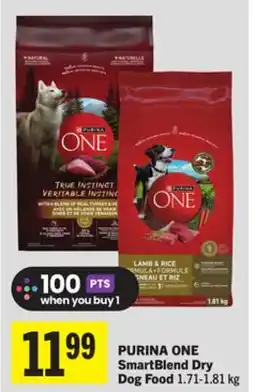 Foodland PURINA ONE SmartBlend Dry Dog Food offer