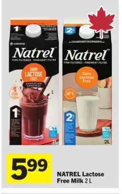 Foodland NATREL Lactose Free Milk offer