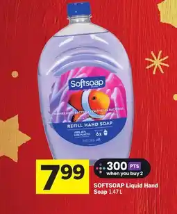 Foodland SOFTSOAP Liquid Hand Soap offer