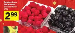 Foodland Raspberries or Blackberries offer