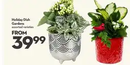 Longo's Holiday Dish Gardens offer