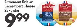 Longo's Brie or Camembert Cheese offer