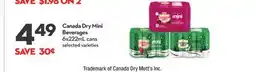 Longo's Canada Dry Mini Beverages offer