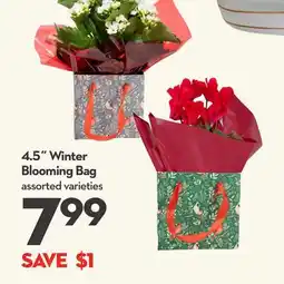 Longo's Winter Blooming Bag offer