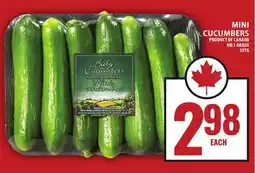 Food Basics MINI CUCUMBERS offer