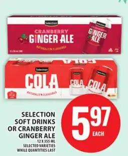 Food Basics SELECTION SOFT DRINKS OR CRANBERRY GINGER ALE offer