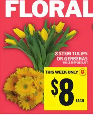 Food Basics 8 STEM TULIPS OR GERBERAS offer