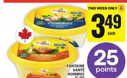 Food Basics FONTAINE SANTÉ HUMMUS offer