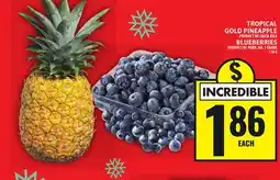 Food Basics TROPICAL GOLD PINEAPPLE OR BLUEBERRIES offer