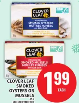 Food Basics CLOVER LEAF SMOKED OYSTERS OR MUSSELS offer