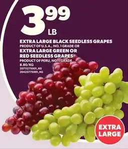 Loblaws EXTRA LARGE BLACK SEEDLESS GRAPES OR EXTRA LARGE GREEN OR RED SEEDLESS GRAPES offer