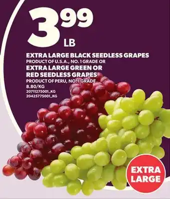 Loblaws EXTRA LARGE BLACK SEEDLESS GRAPES OR EXTRA LARGE GREEN OR RED SEEDLESS GRAPES offer