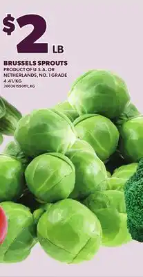 Loblaws BRUSSELS SPROUTS offer