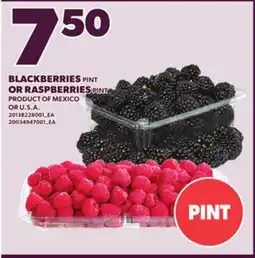 Loblaws RASPBERRIES PINT OR RASPBERRIES PINT offer