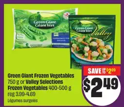 Chalo FreshCo Green Giant Frozen Vegetables 750 g or Valley Selections Frozen Vegetables 400-500 g offer