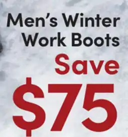 Mark's Helly Hansen Men's Winter Work Boots offer