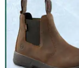 Mark's Windriver Boots offer
